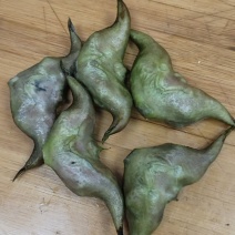 新鲜菱角