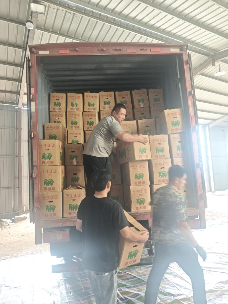 优质各类辣椒、产地直发，保质保量！