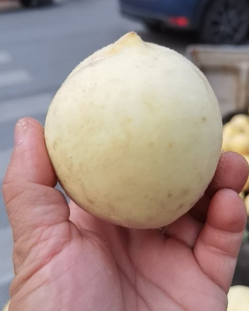 河南南阳金秋红蜜桃