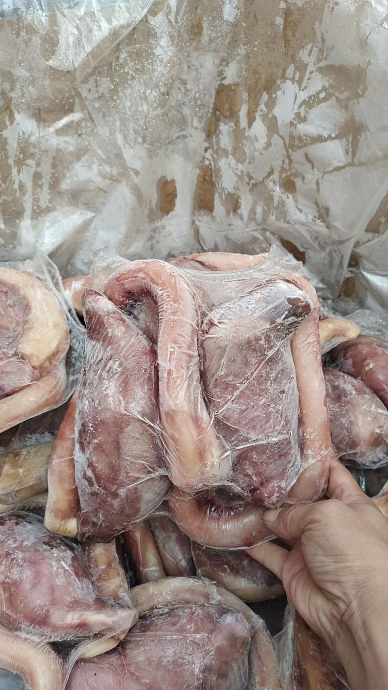 牛鞭宝