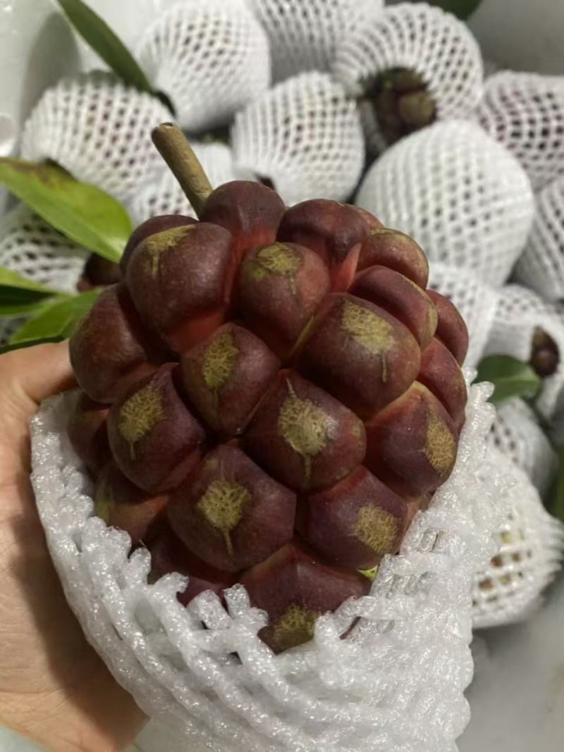 自家黑老虎，白菜价处理