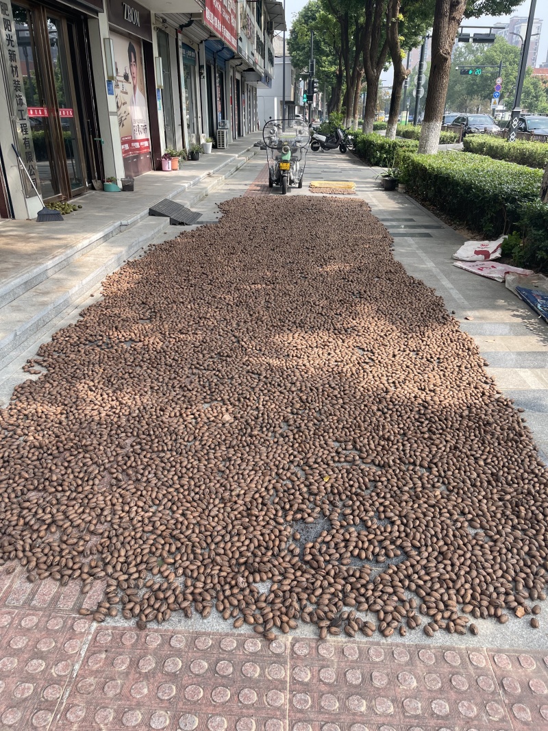 碧根果