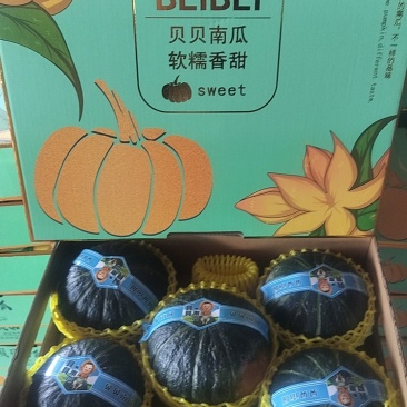 贝贝南瓜