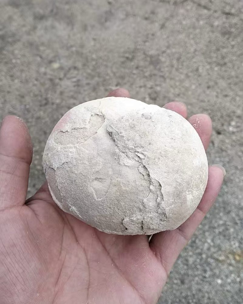狗宝