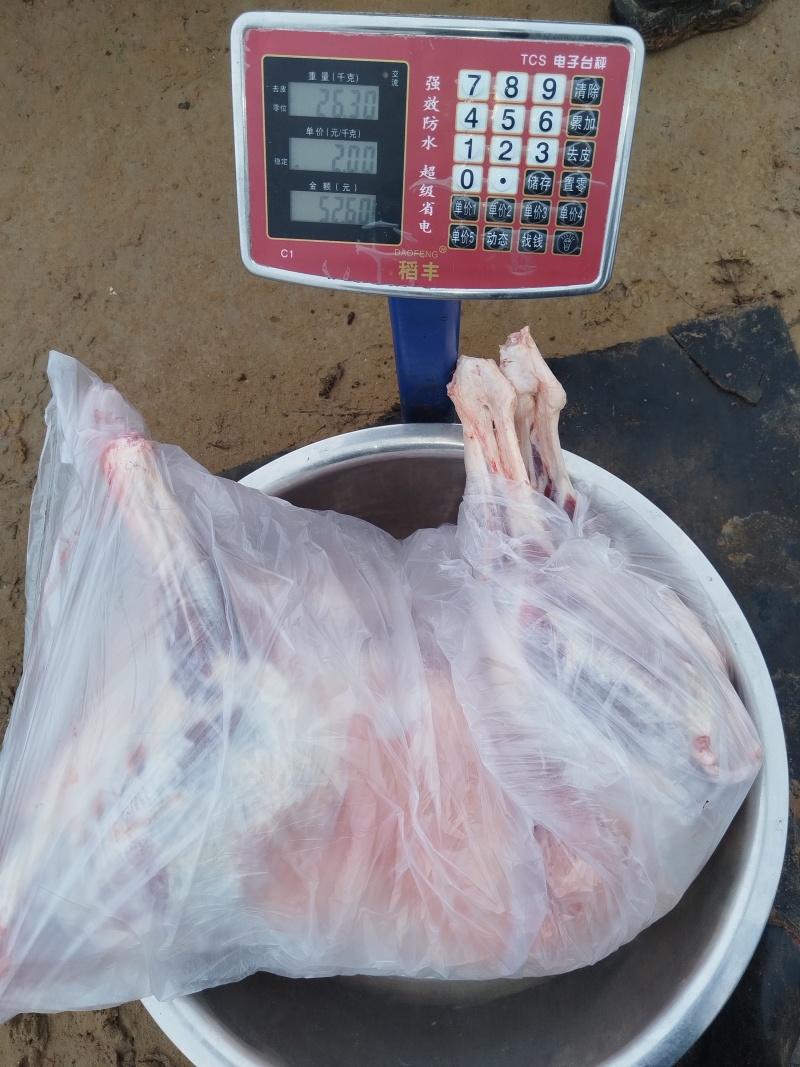 内蒙古鄂尔多斯市草坡羊肉