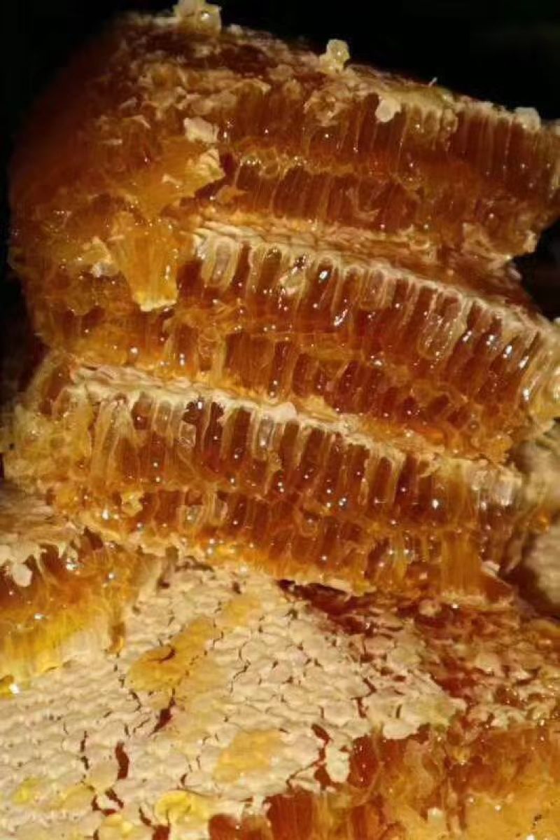 阿坝州土蜂蜜