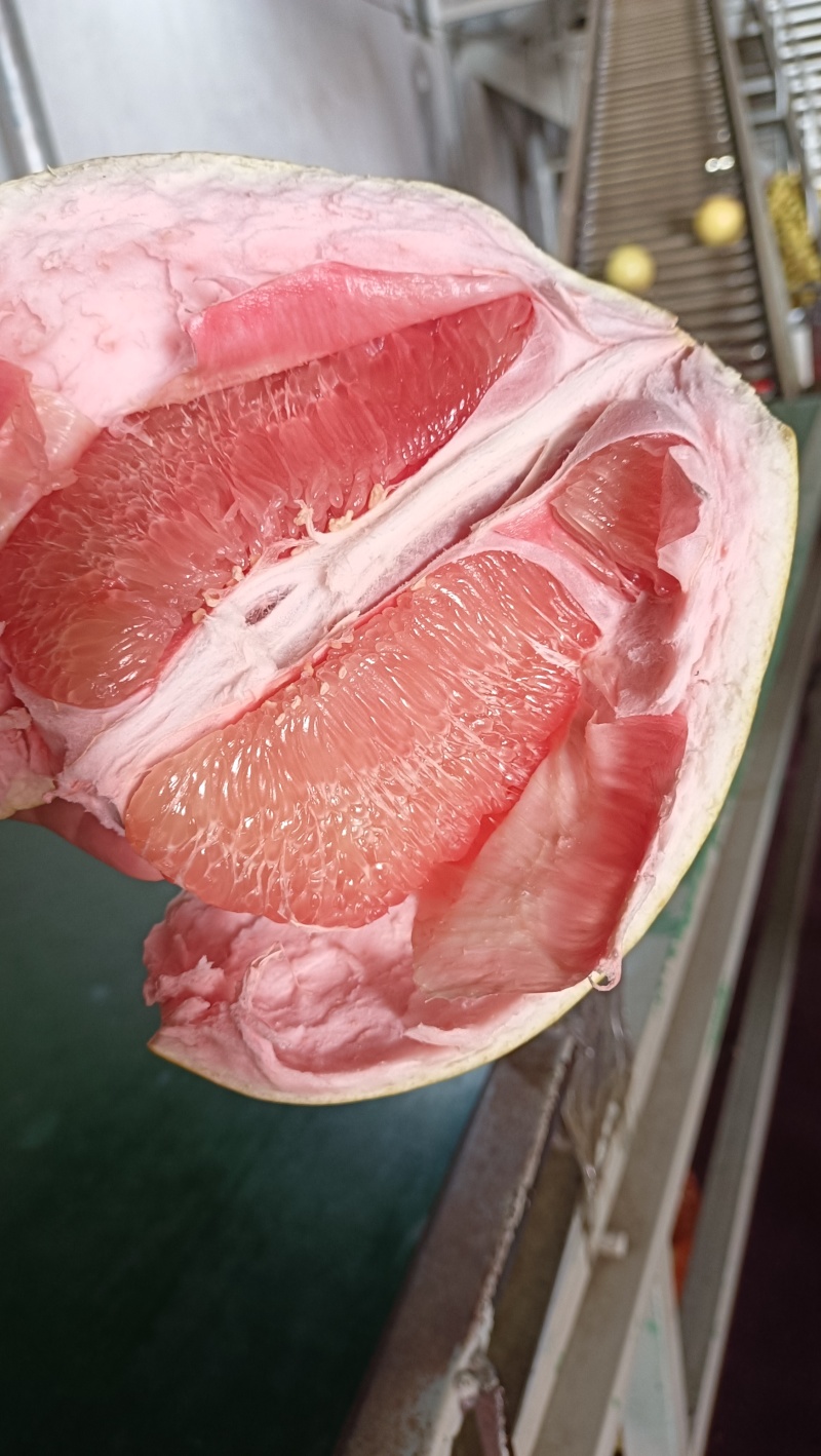 自家种植三红蜜柚，需要可联系