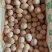 胡须鸡初生蛋