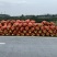 安江雪峰冰糖柚