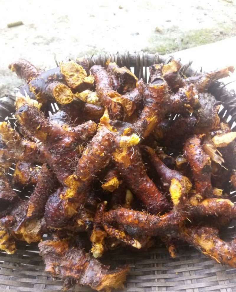 野生虎杖根，质量好，数量多，需要的联系