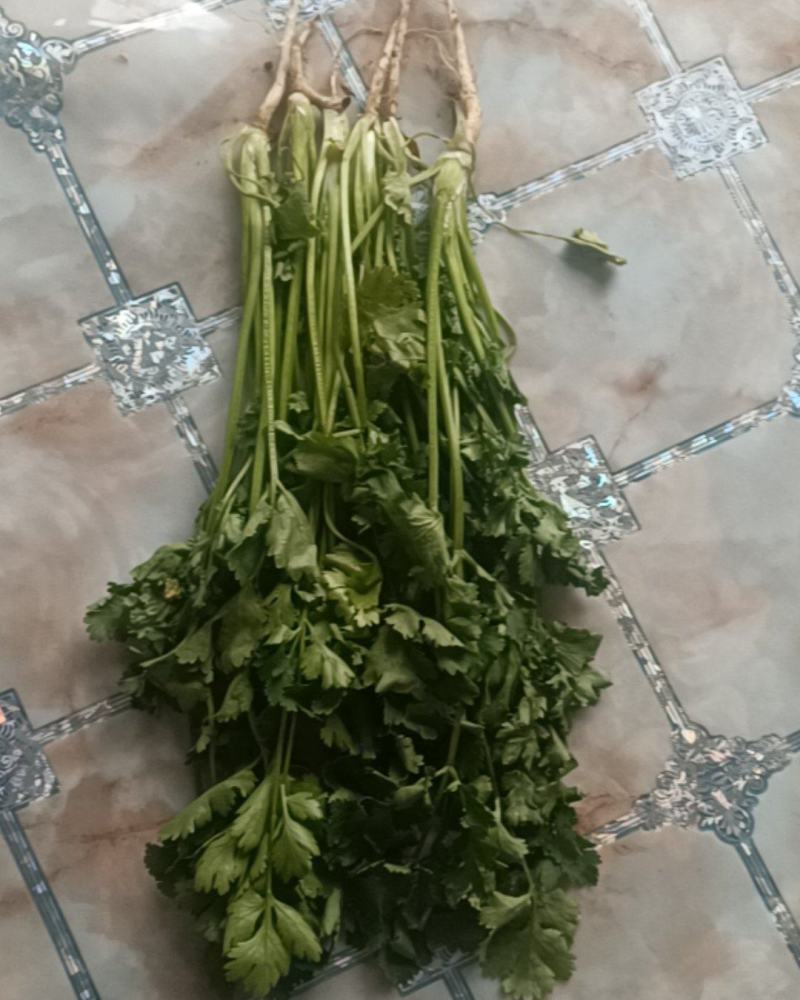 赤峰香菜