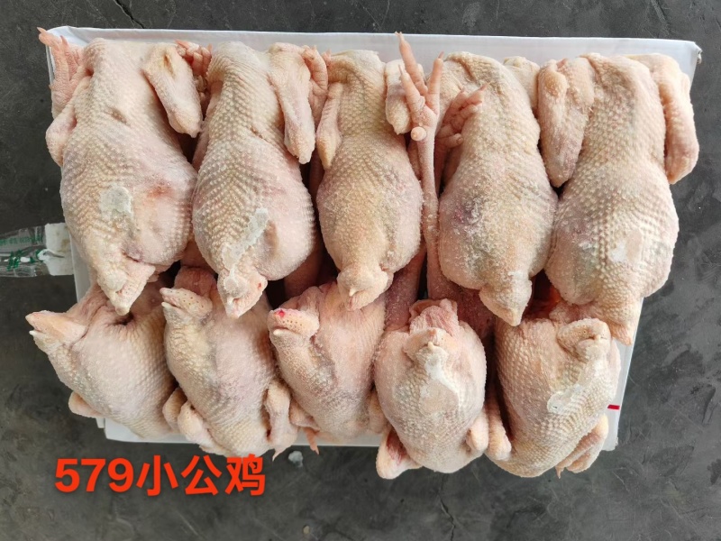 579小公鸡，新品冷冻，各种规格齐全质量保证全国冷链发货