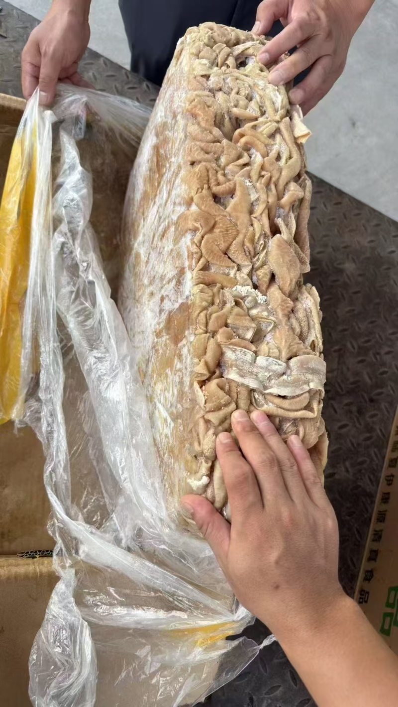牛小肠