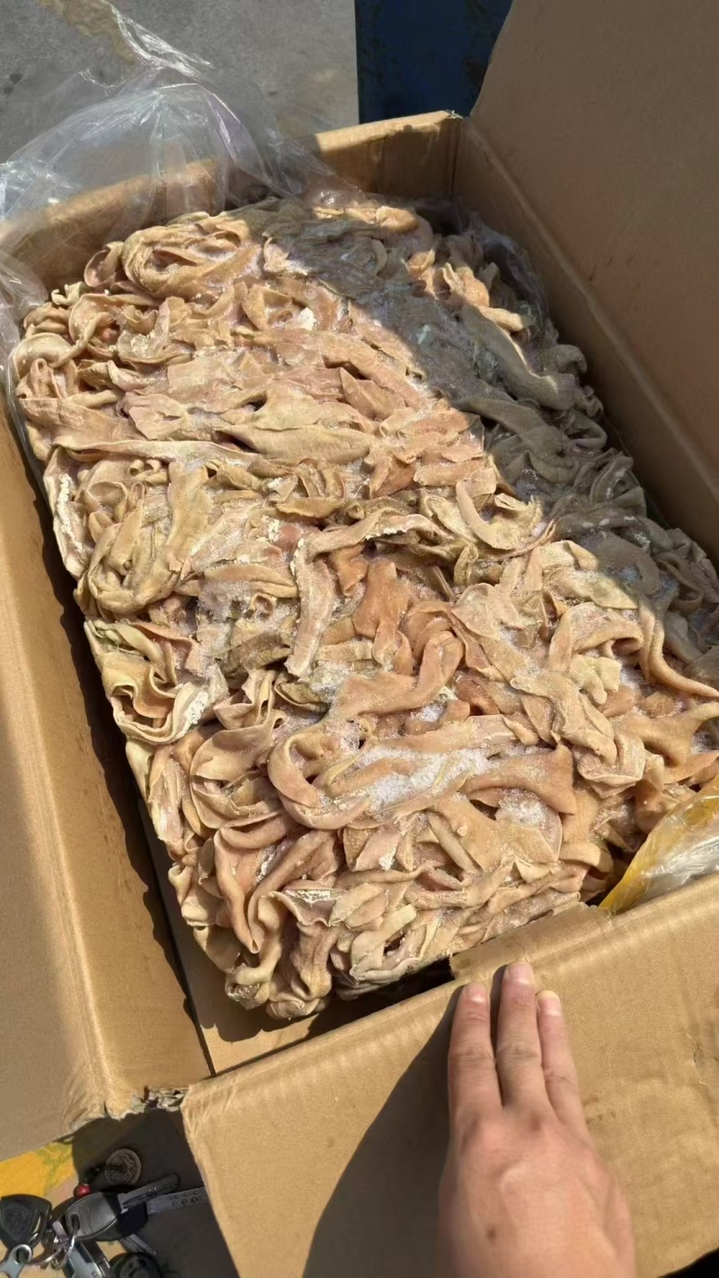 牛小肠