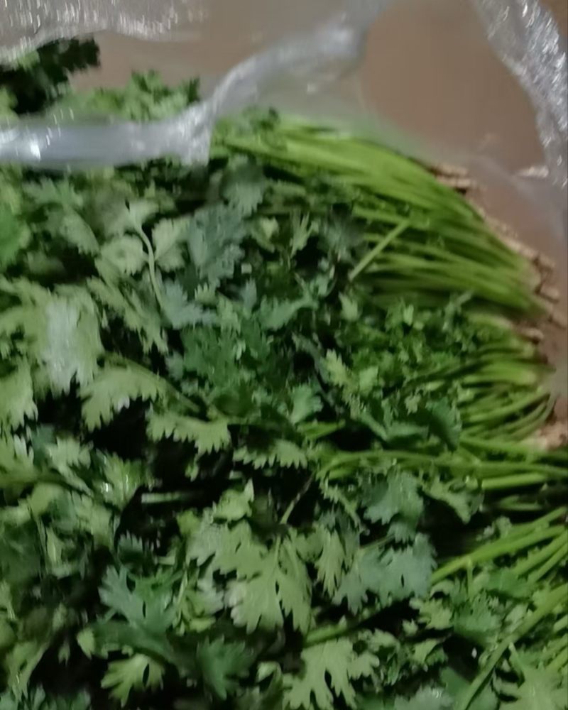 香菜