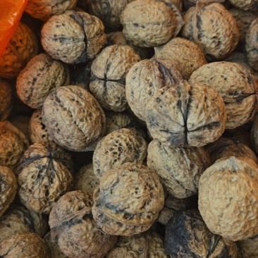云南高山纸皮核桃