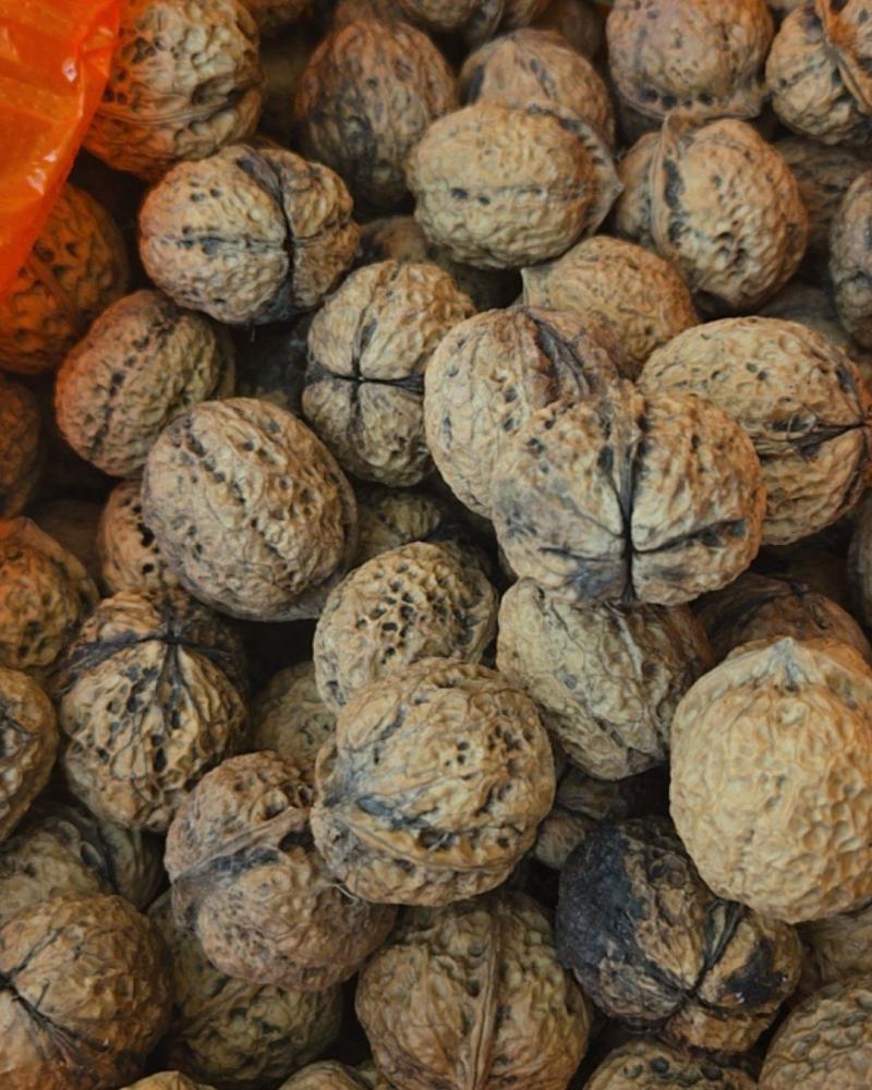 云南高山纸皮核桃