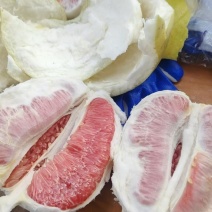 红心柚