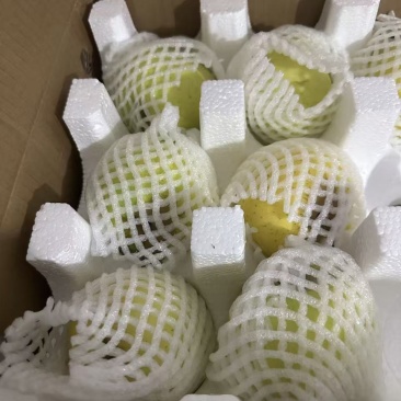 小金青苹果，红富士