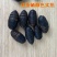 辽宁西丰蚕蛹大量批发