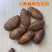 辽宁西丰蚕蛹大量批发