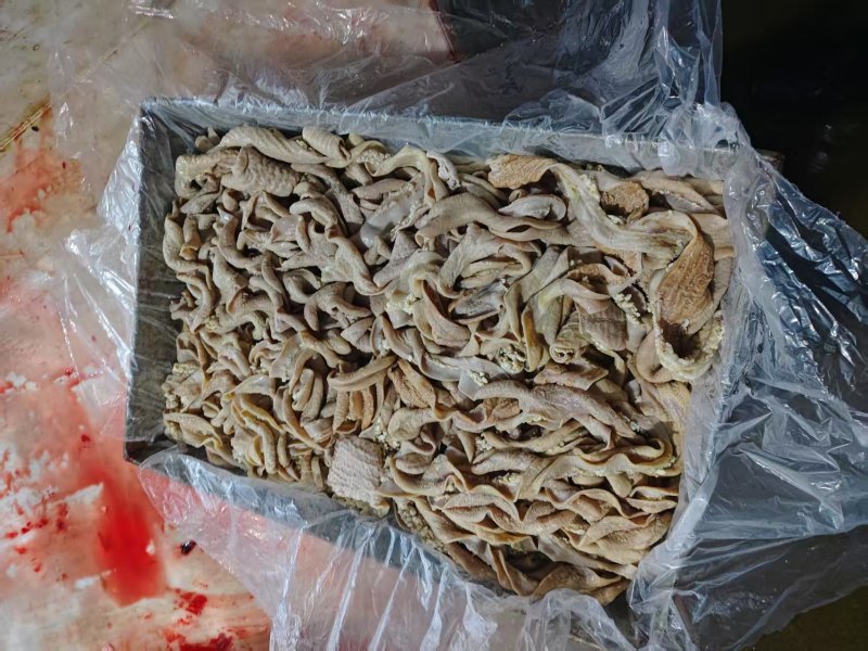 破口牛小肠，6/7成熟，精修