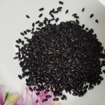 黑米