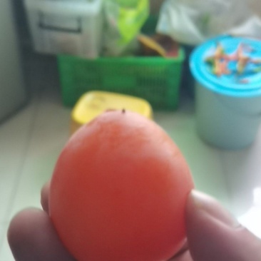 陕西蒲尖柿子