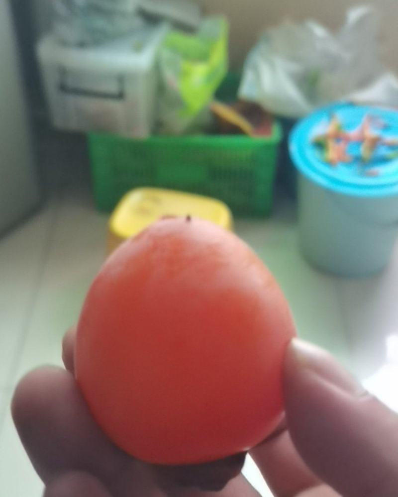 陕西蒲尖柿子