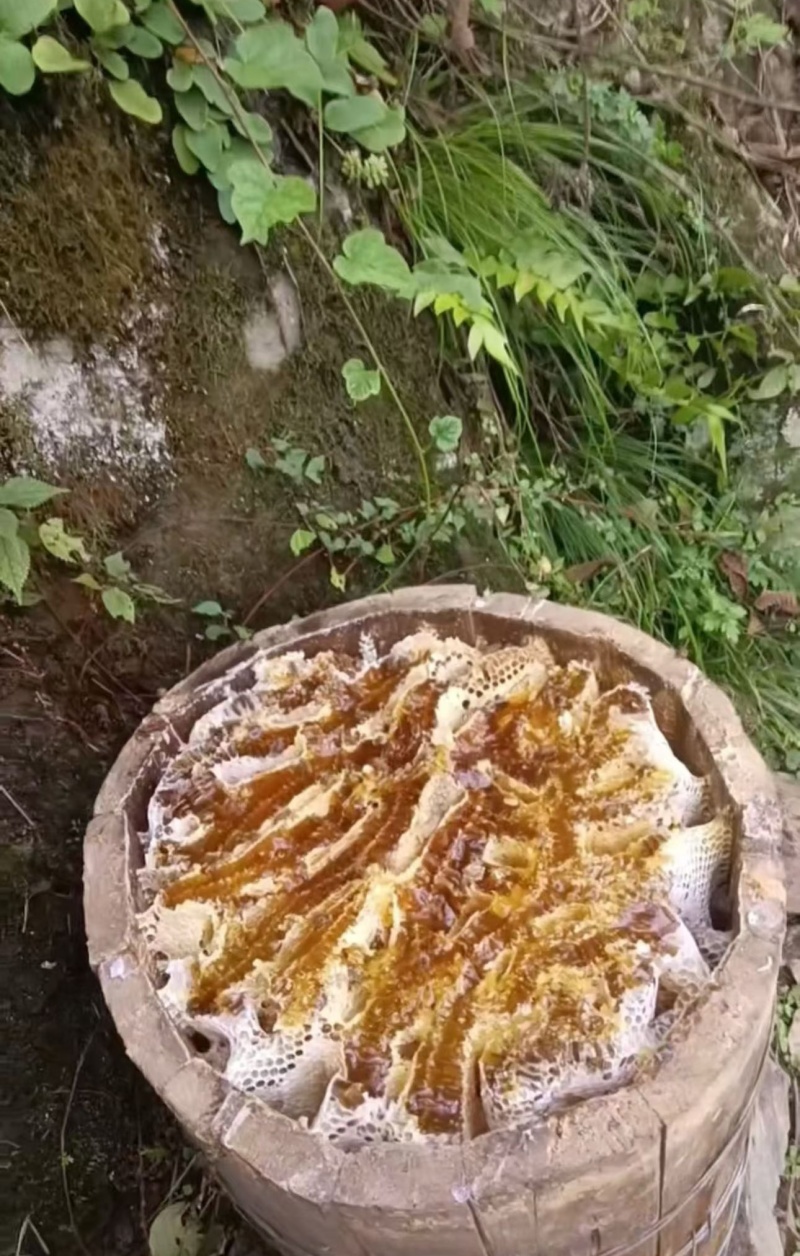 土蜂蜜