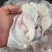 大白鲢鱼花鲢鱼鱼泡内泡