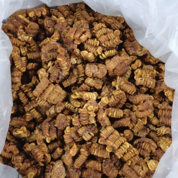 罗汉果果心
