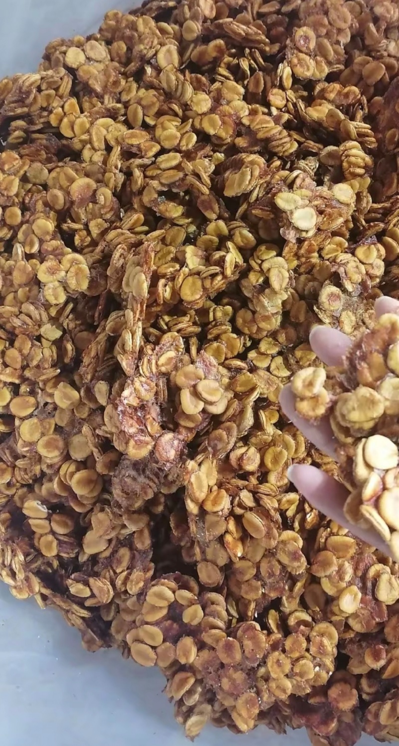 罗汉果果心