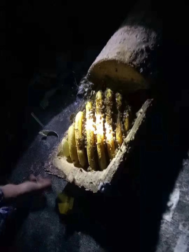 圆通蜂蜜
