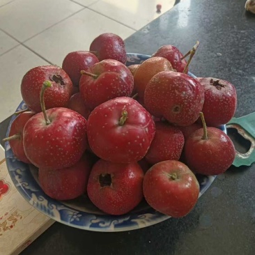 精品山楂一手货源，产地直发