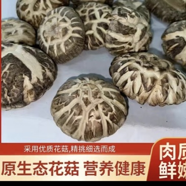 西峡县香菇