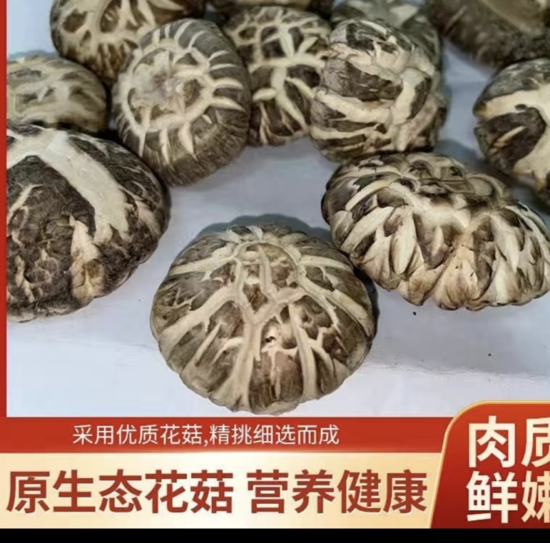 西峡县香菇