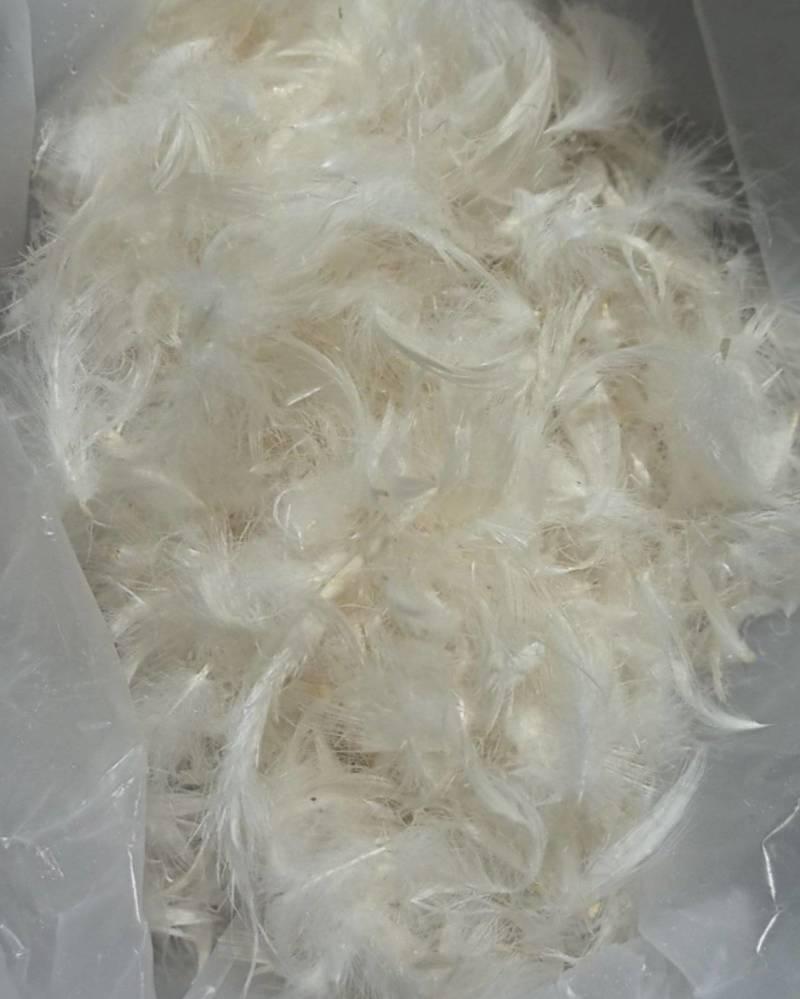 鸭毛鹅毛