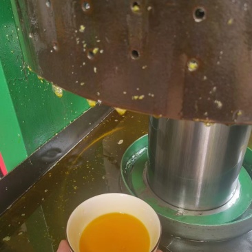 笨榨豆油