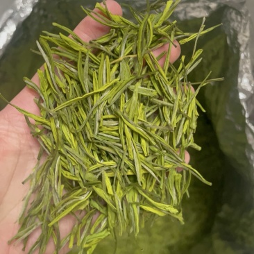 金香玉