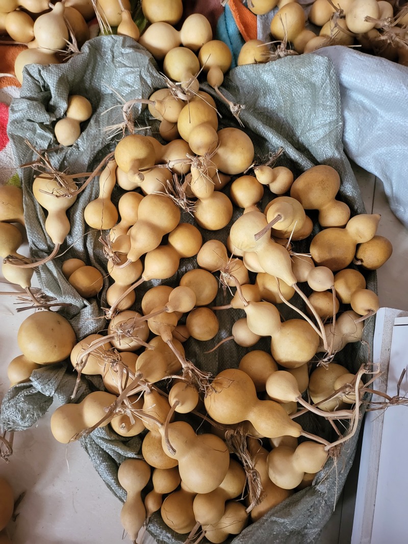 中号葫芦，白皮葫芦，八宝葫芦，各种葫芦产地直销