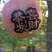 易县红富士苹果