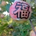 易县红富士苹果