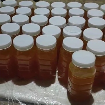 贵州土蜂蜜