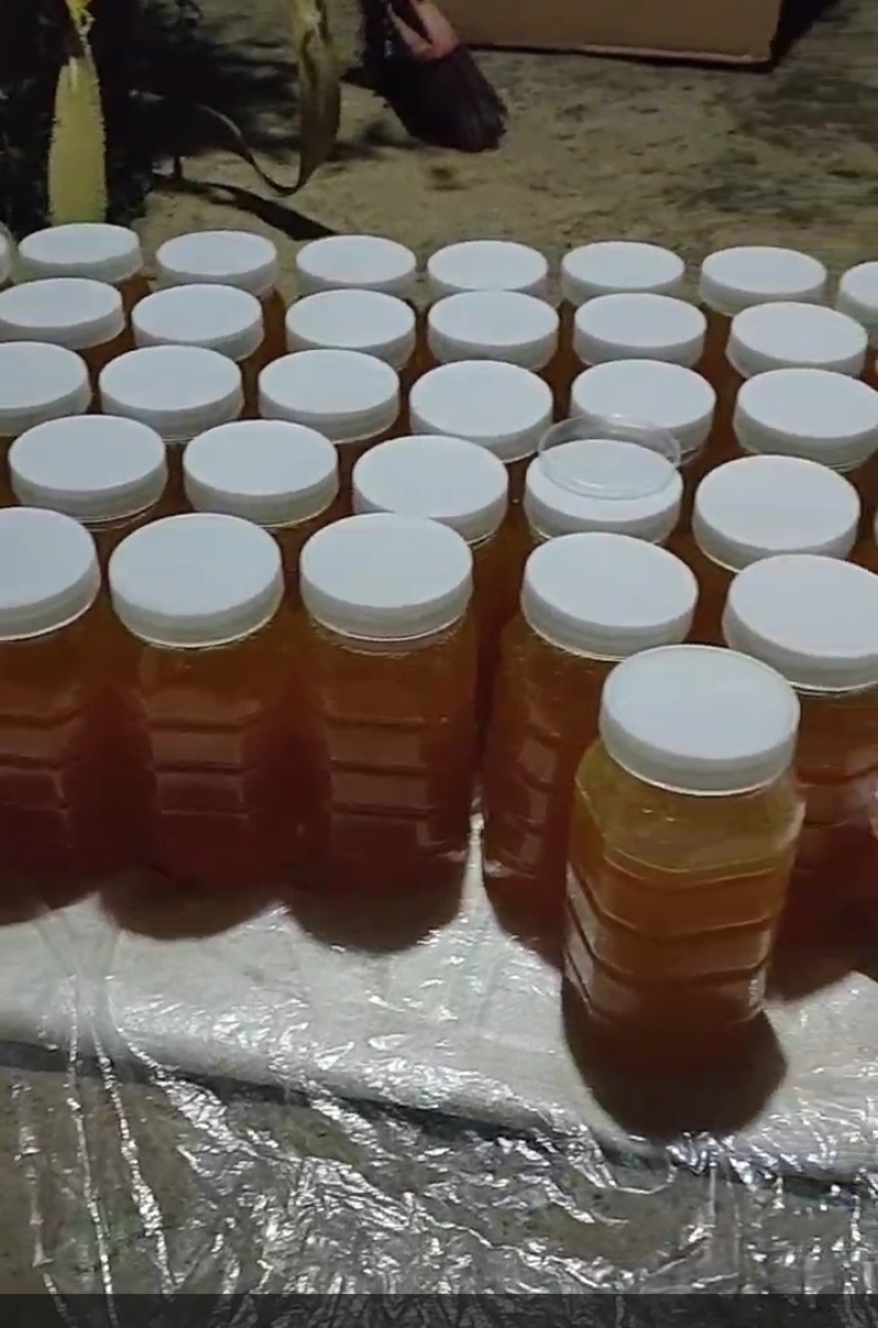 贵州土蜂蜜