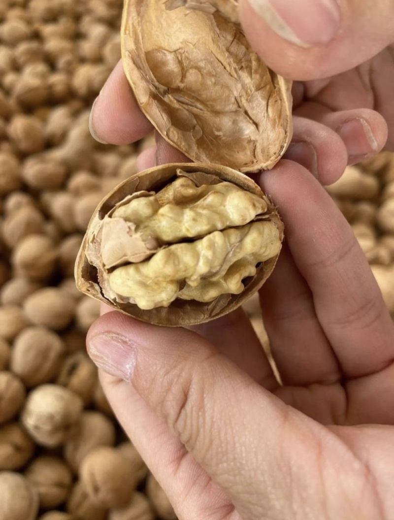 新疆阿克苏核桃