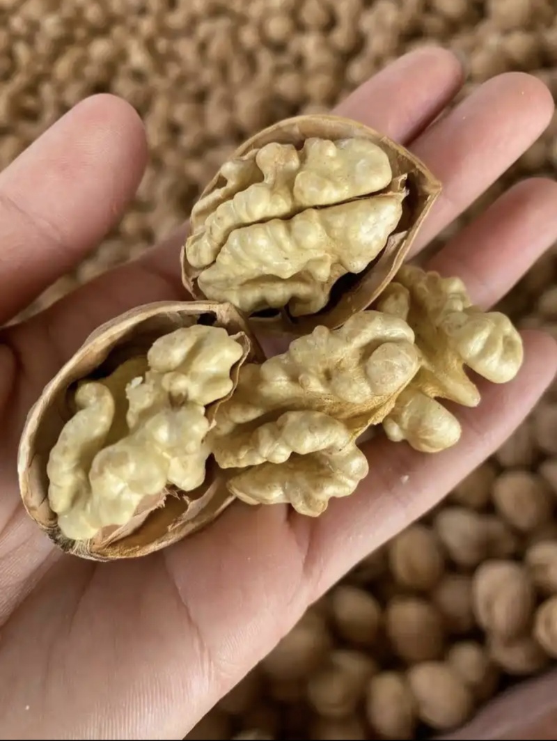 新疆阿克苏核桃