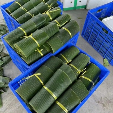 精品芭蕉叶