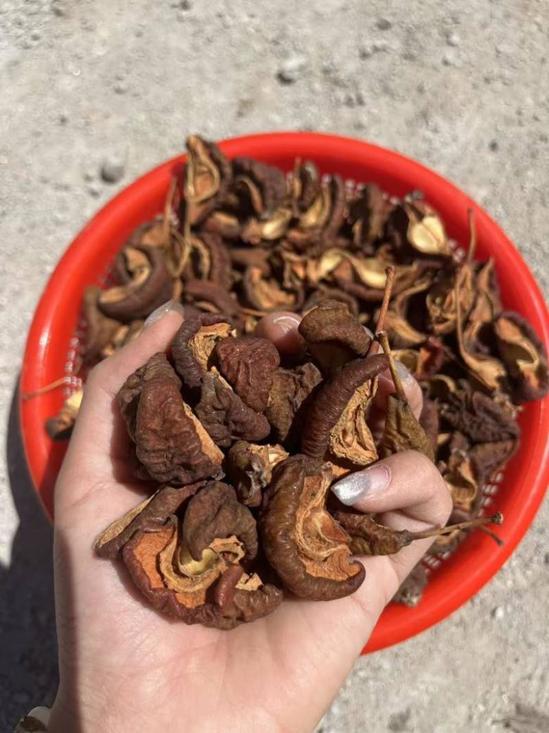 广西山楂肉