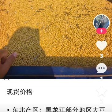 大豆